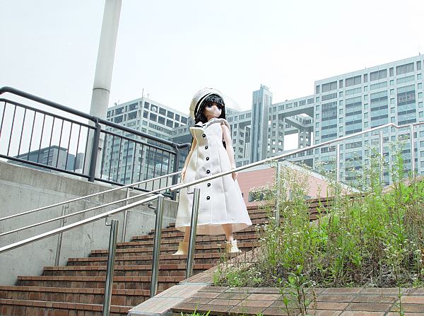 tWerÕvi[h背C{[ubW]ޕP